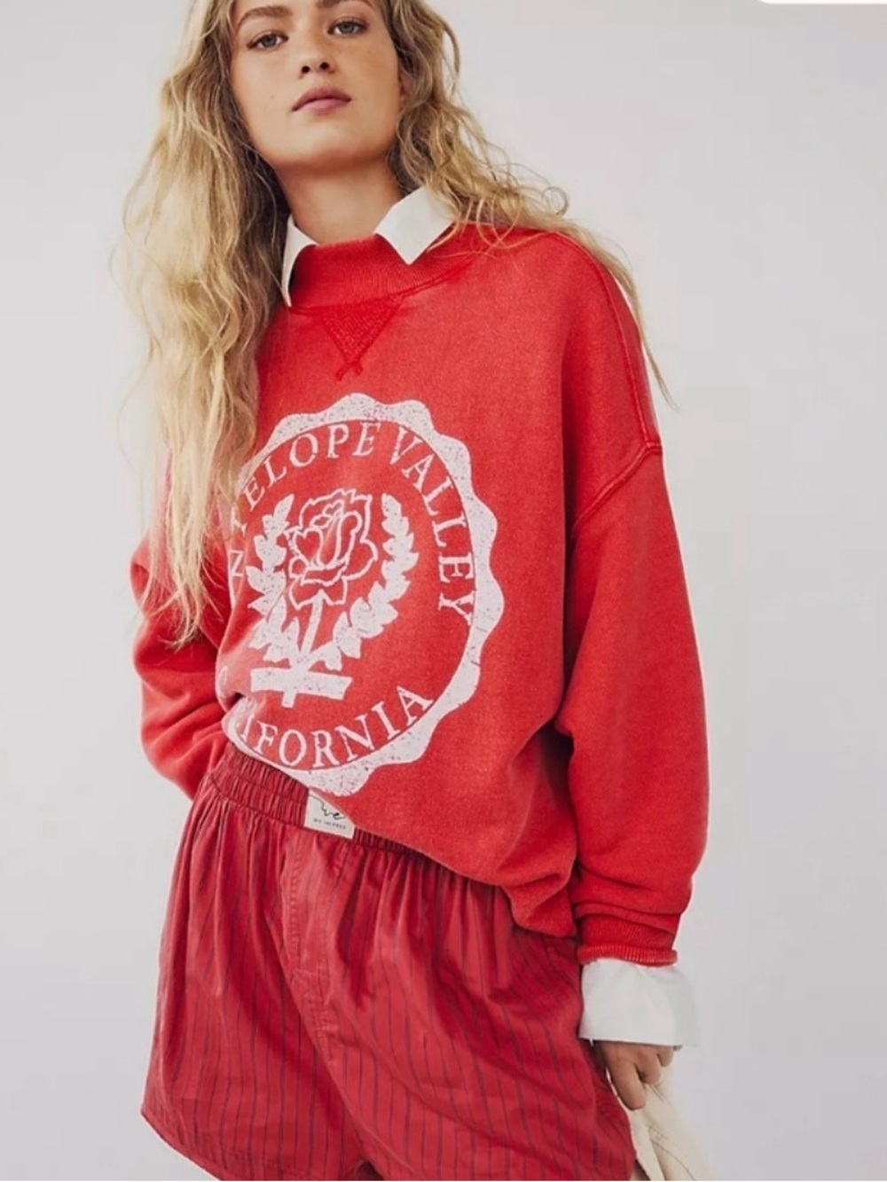 Free People Diana Graphic Oversized Sweatshirt L